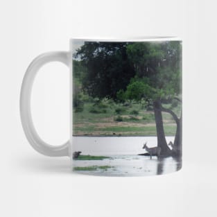 My African Safari - Waterhole Mug